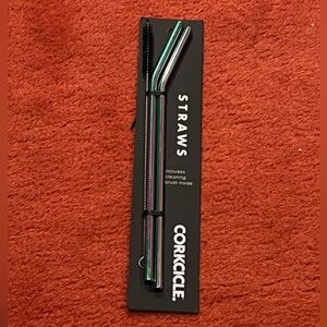 Corkcicle Prism Stainless Steel Straw Packaging